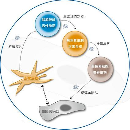 �������Ʒ���