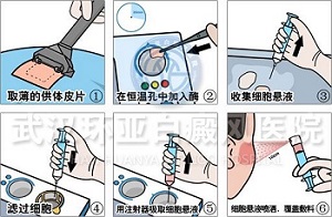 �������Ʒ���